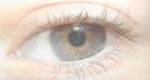 Conduire avec ses yeux