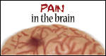 Pain in the Brain: Try out your turn signal today!