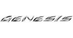 Le prototype Hyundai Genesis sera l'une des nouveautés au prochain salon de New York