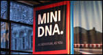 MINI DNA Launch Party
