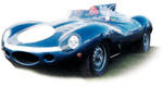 Jaguar D-Type : Fine Lines