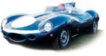 Jaguar D-Type : Fine Lines