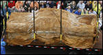 1957 Plymouth Belvedere unearthed after 50 years in Tulsa