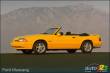 1993 Ford mustang