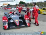 Audi Motorsports Experience � Mosport