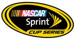 NASCAR driver Kyle Busch lining up F1 test