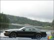 2008 Ford mustang Bullitt