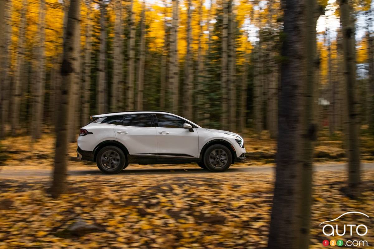 Kia Sportage 2023, profil