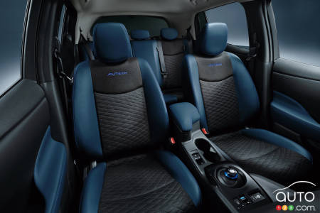 Headrests - Nissan Leaf