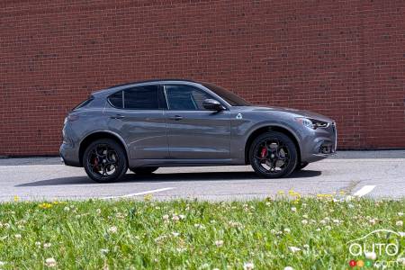 Alfa Romeo Stelvio Quadrifoglio 2024, de profil