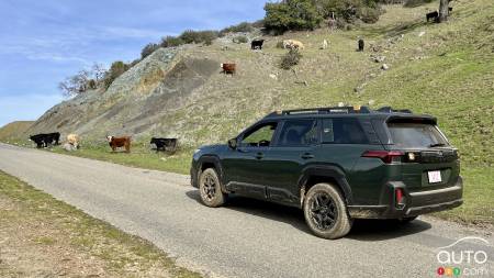 Subaru Outback Wilderness 2026, trois quarts arrière