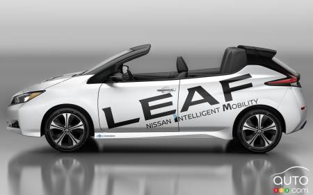 Nissan LEAF Open Car