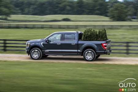Ford F-150, profil