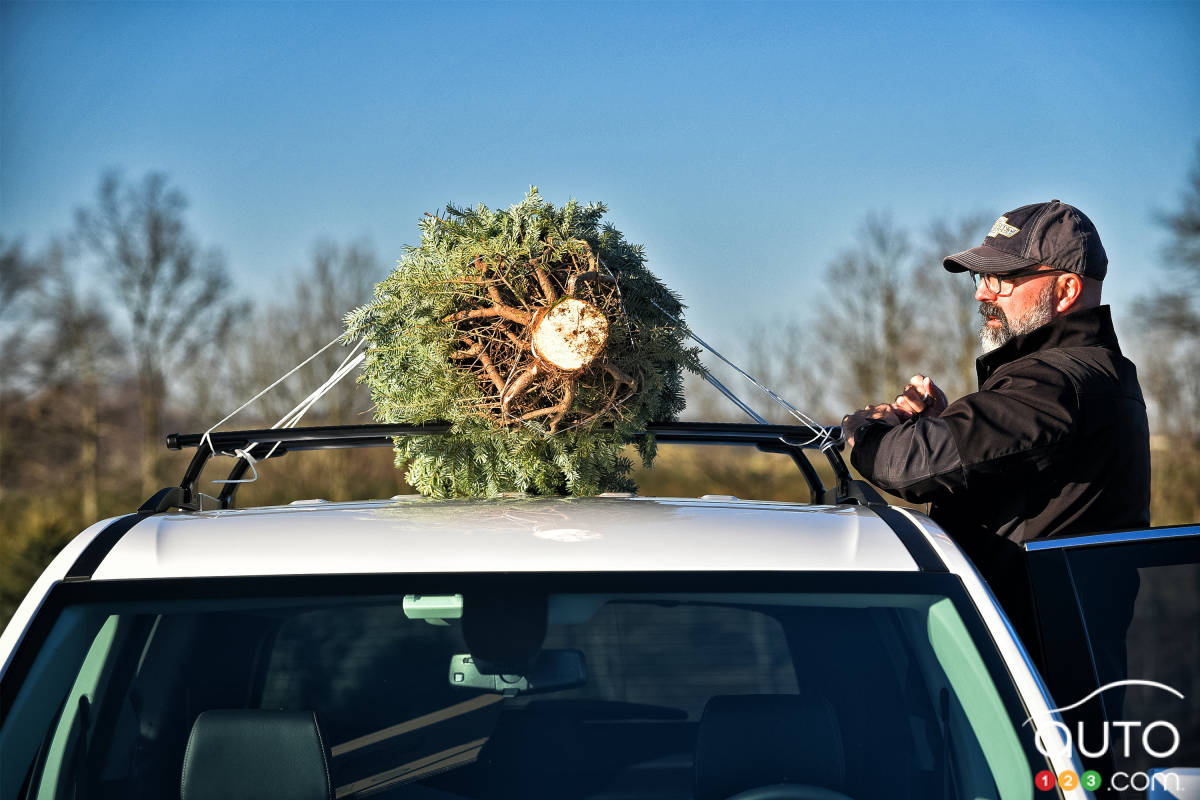 6 conseils pour bien transporter son sapin de Noël sur le toit de sa voiture  - Blog autosphere