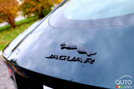 Jaguar badging