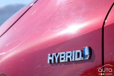 Toyota Corolla hybride, logo hybride