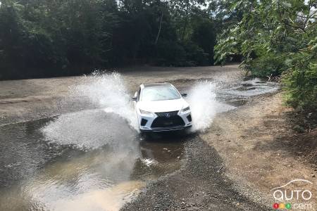 Dirtying the Lexus RX