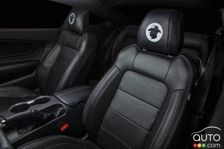 Ford Mustang Shelby special edition - Car seat