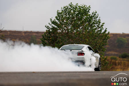 Ford Mustang RTR 2026, arrière