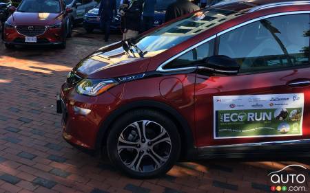 The official start of the 2018 EcoRun, at City Hall in Moncton