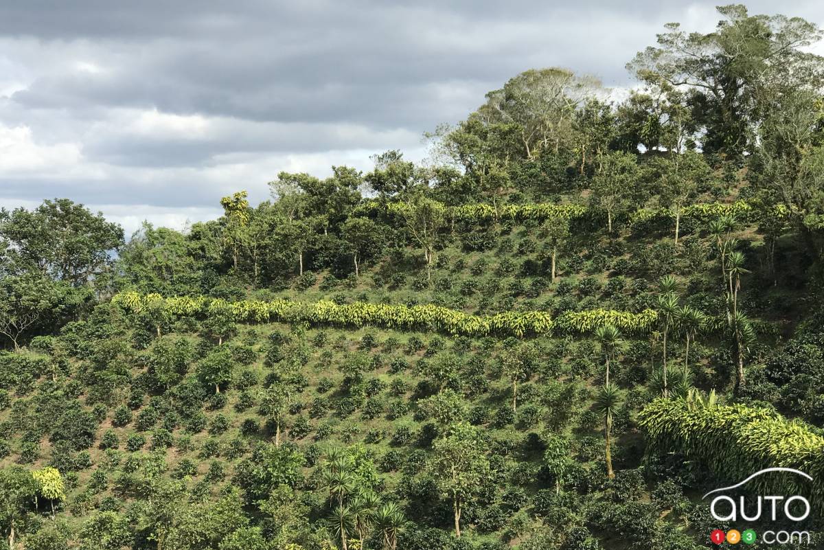 Une colline costaricaine