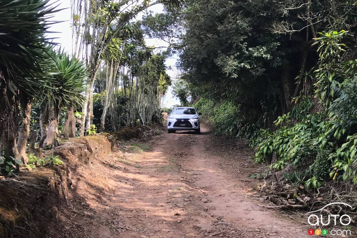 Le Lexus RX 450h 2020, sur une route de campagne