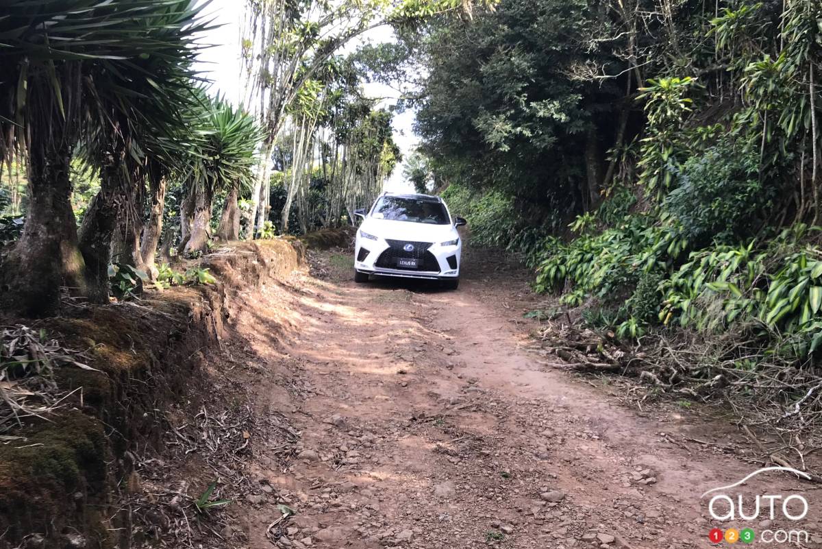 Le Lexus RX 450h 2020, sur une petite route costaricaine