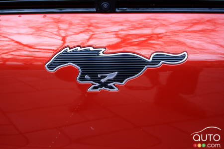 Ford Mustang Mach-E 2021, logo