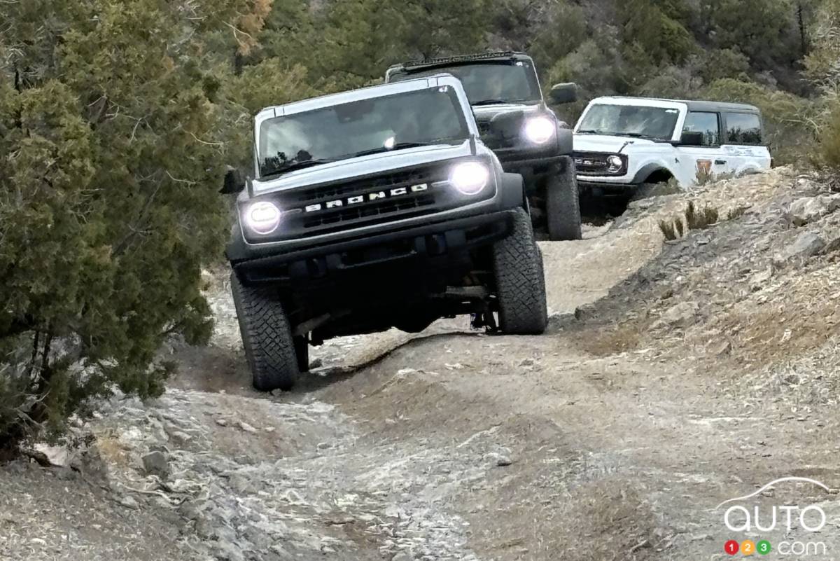 Les Ford Bronco, sur le sentier