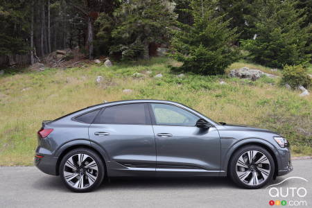 Profil de Audi Q8 Sportback e-tron 2024