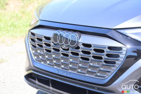 Calandre de Audi Q8 e-tron 2024 gris