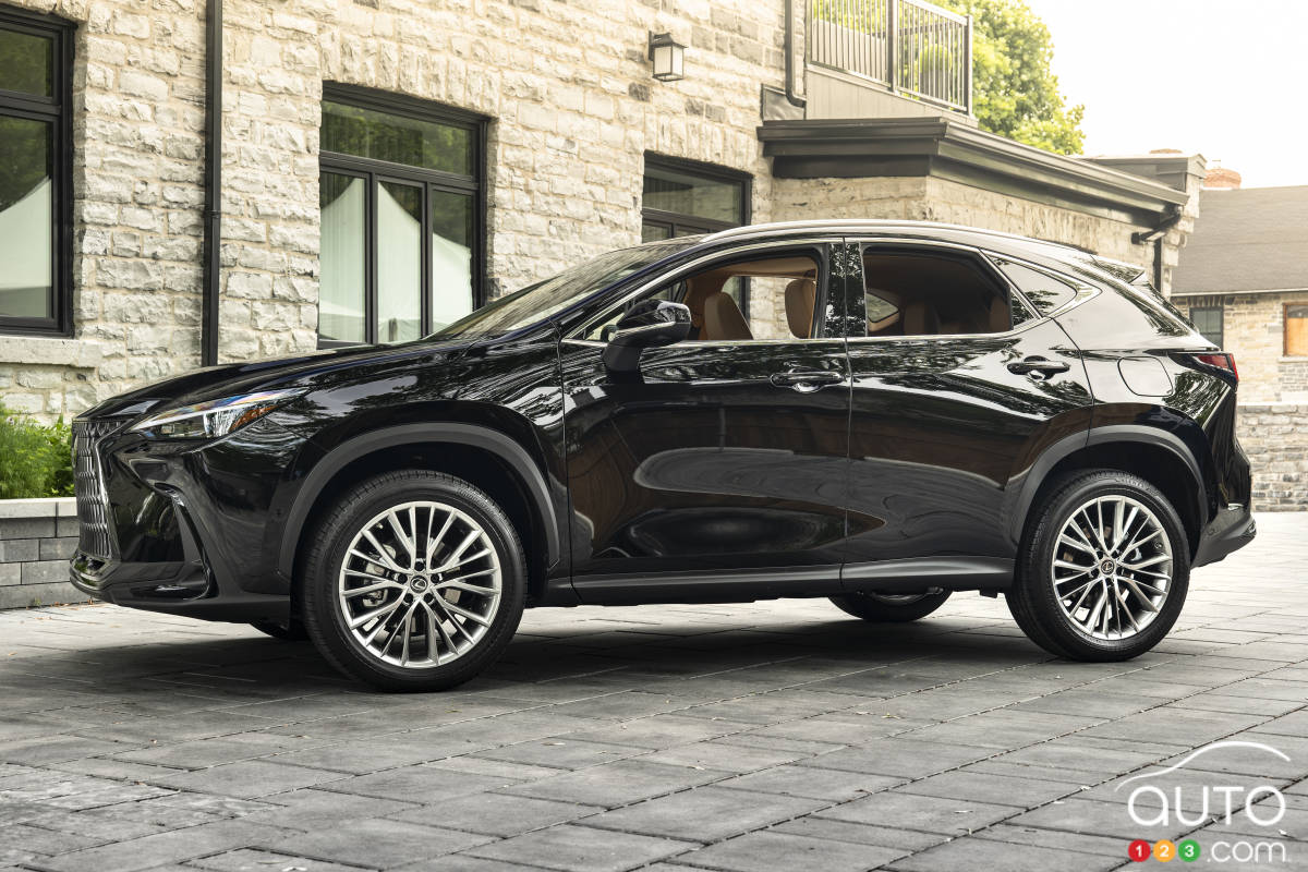 Lexus NX 2022, profil