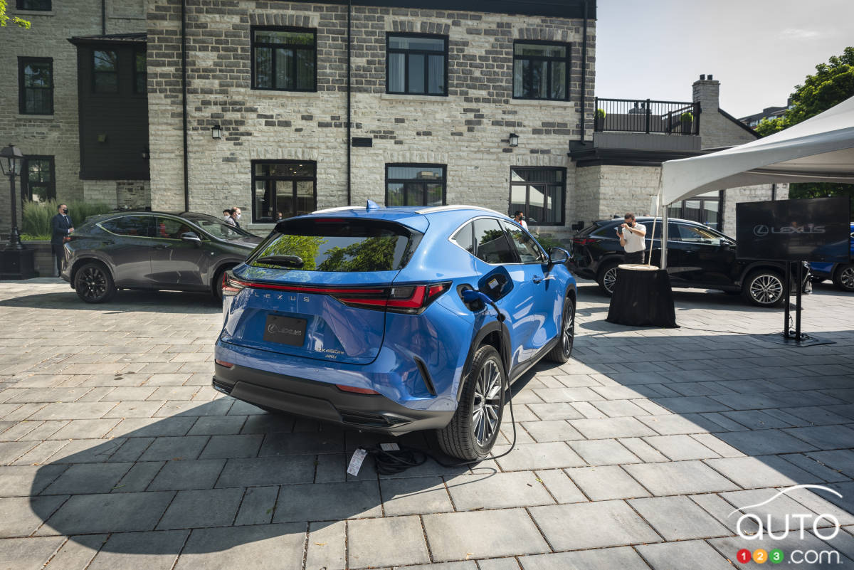 Lexus NX 2022, arrière