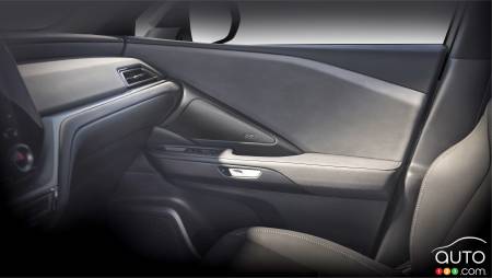 Door panel, dashboard of 2024 Lexus TX