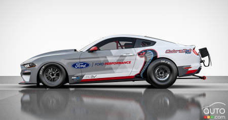 Mustang Cobra Jet 1400, profile