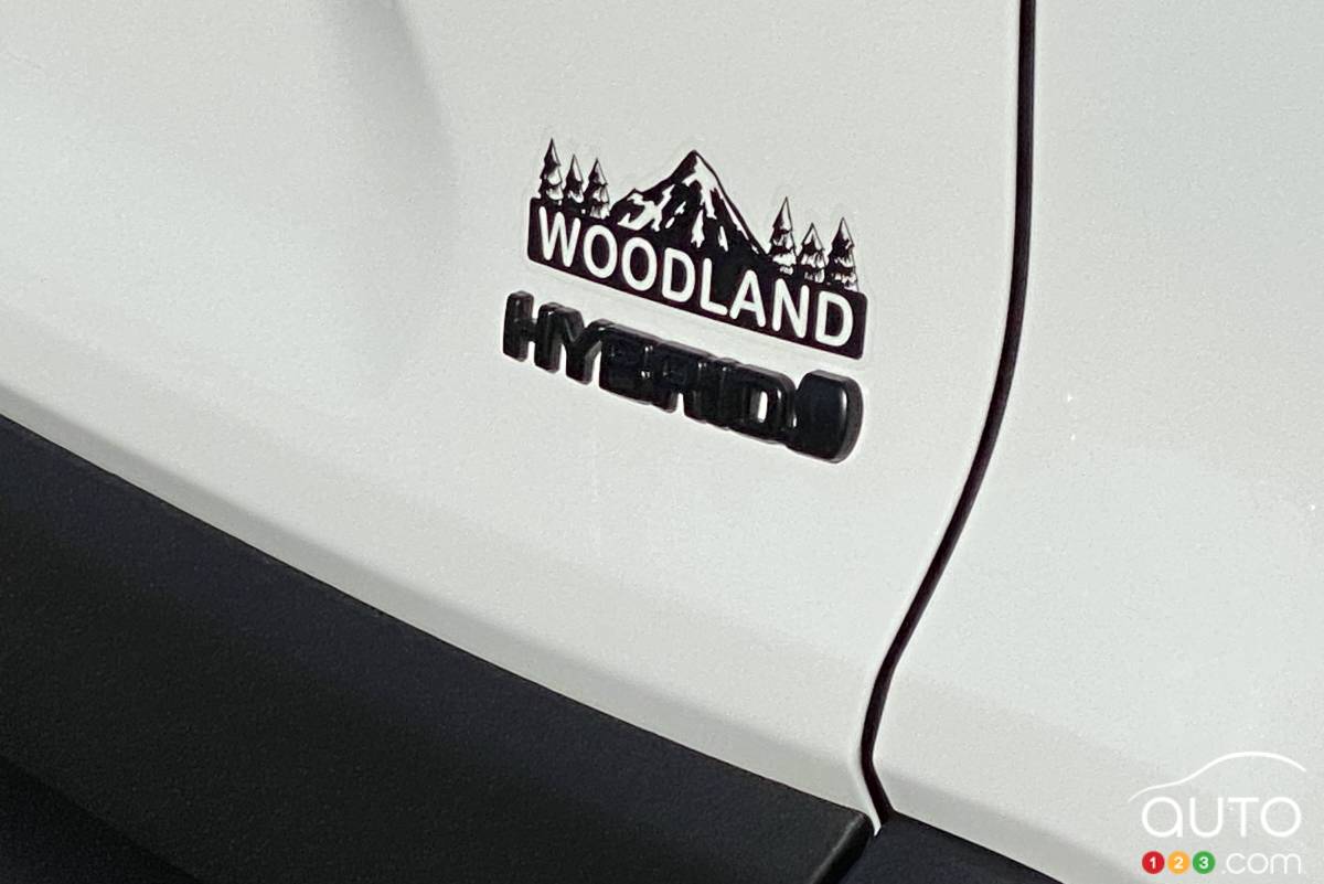 Logo de Toyota RAV4 Woodland 2023