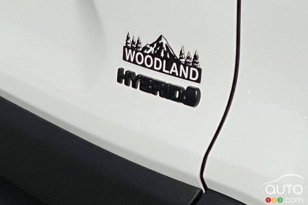 Logotipo de 2023 Toyota RAV4 Woodland