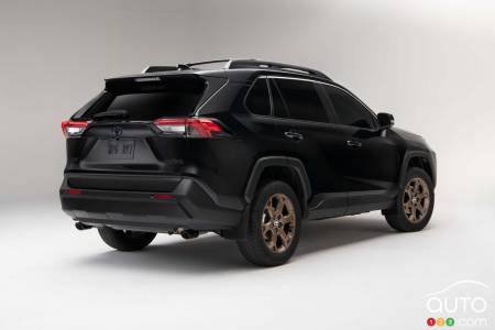 2023 Toyota RAV4 Woodland - Back