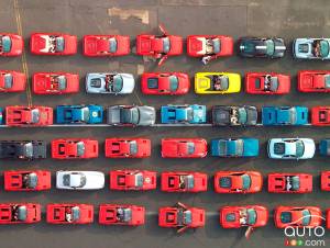 For the Guinness World Record - 1,000 Ferraris on Parade!