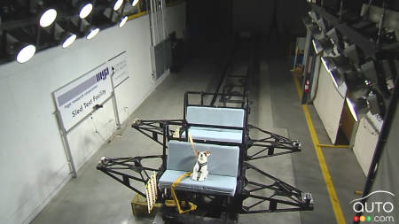 Subaru : tests de collision pour harnais et cages pour animaux