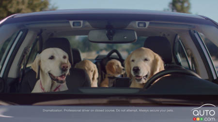 Subaru Brings Back the Barkleys for New Ad Campaign