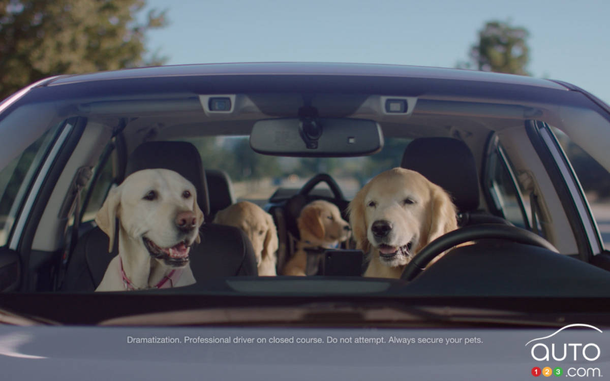 Subaru ramène ses chiens dans de nouvelles pubs
