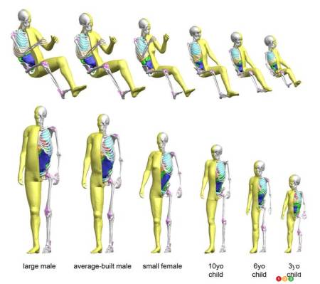 Toyota using new children-sized virtual crash test dummies