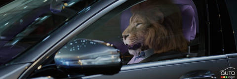 Mercedes-Benz S-Class, So Comfortable it Tames Lions!