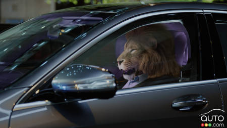 Mercedes-Benz S-Class, So Comfortable it Tames Lions!