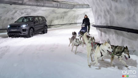 Horsepower vs. Dog power: Which is Faster?