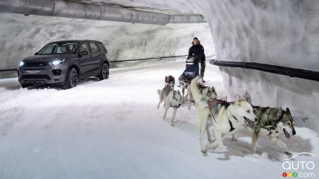 Chevaux-vapeur vs chiens-vapeur : qui gagnera la course?