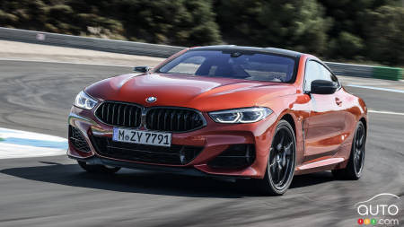 2019 BMW 8 Series Coupe: New Photo Gallery