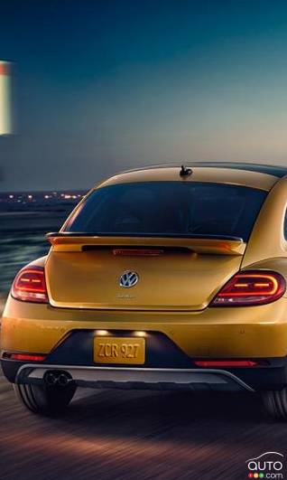 A Bug’s Life: End of the Line for the Beetle