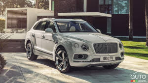 Bentley cherche à profiter du marché croissant des voitures de luxe ... mais ne produira pas de voitures de sport